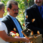 butterfly wedding release