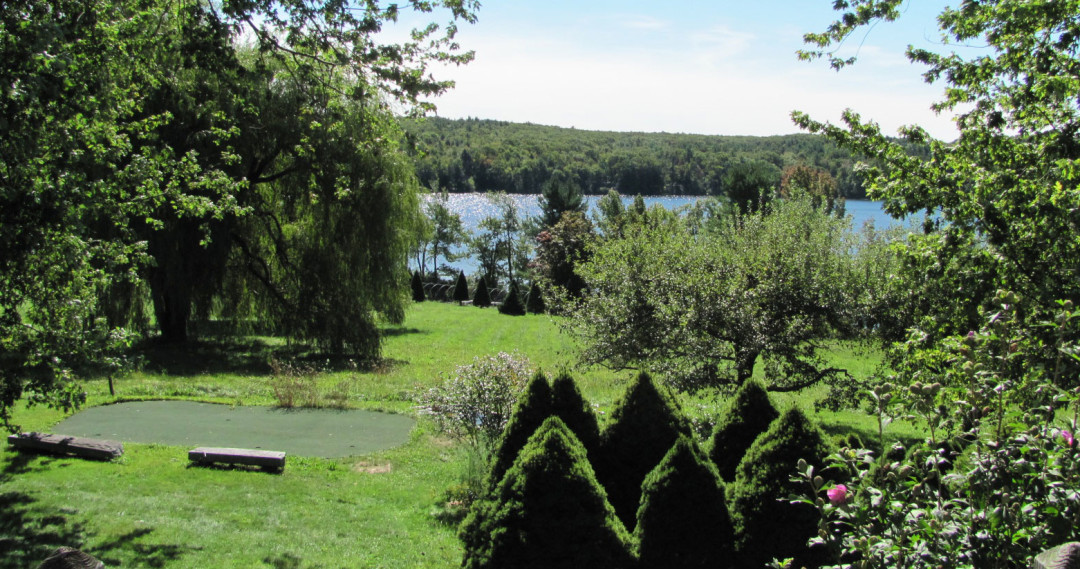 Butterfly Nursery Land