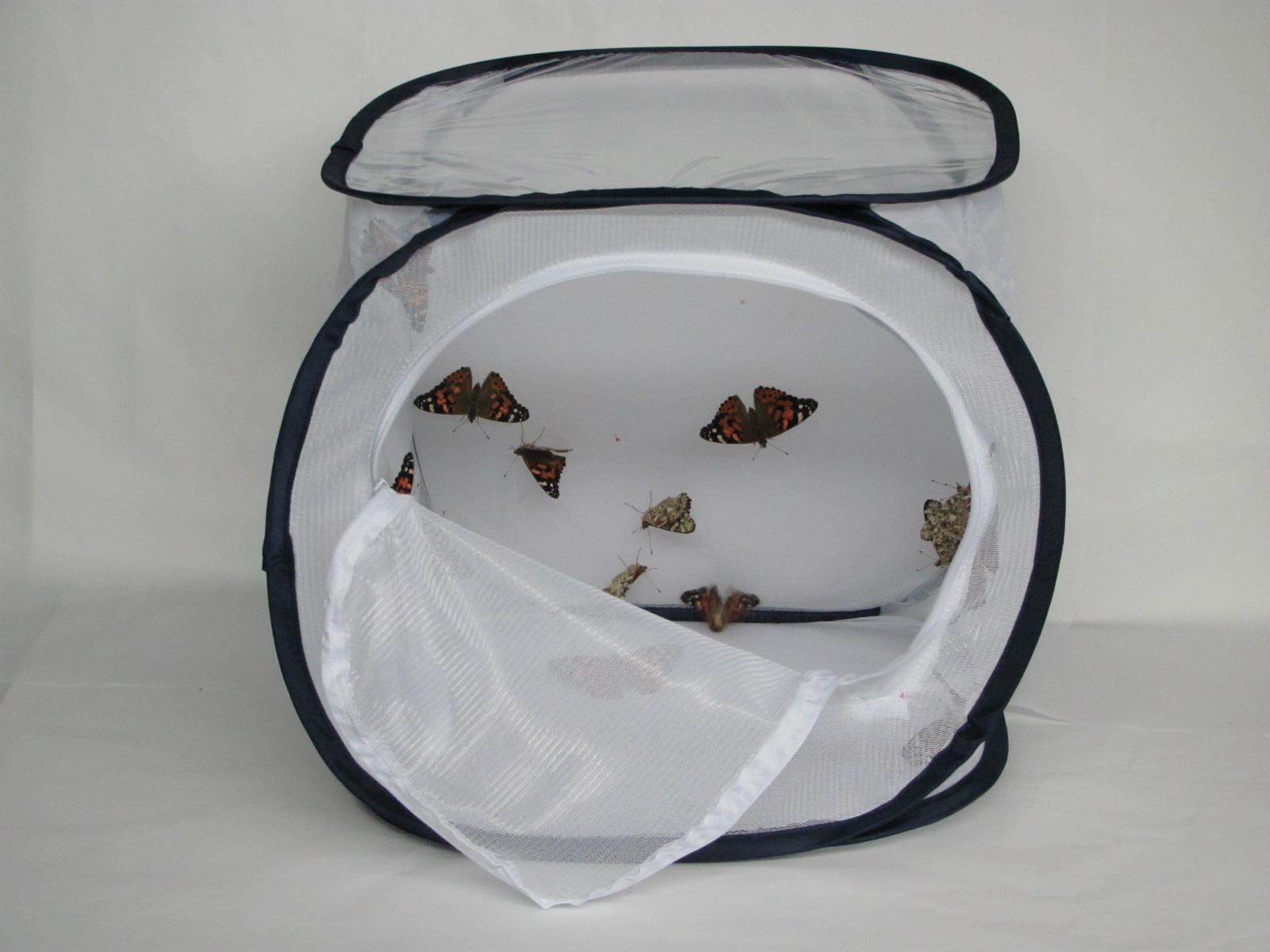 Butterfly Nursery Small Net Castle 12 X 12 X 12 $15.99 - Butterfly  Nursery