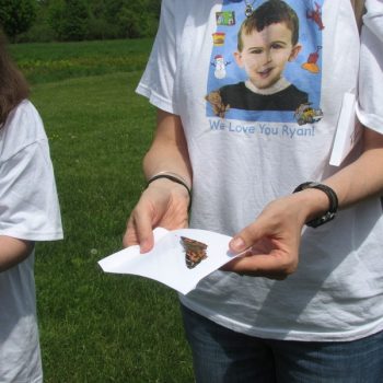 Fund Raising Butterfly Release