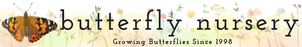 Butterfly Nursery